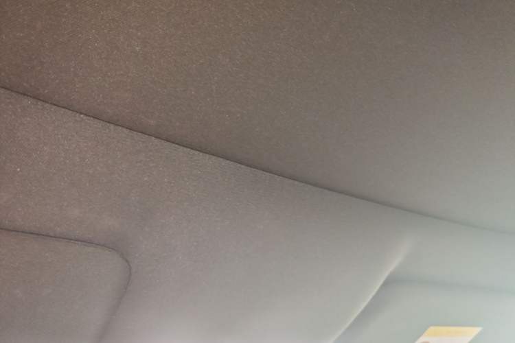 Used Li Auto L9 2024 Ultra Model Headliner