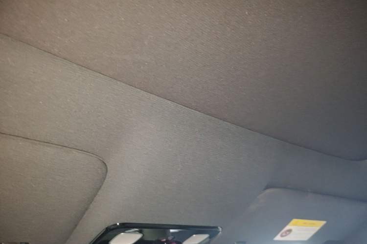 Used Li Auto L9 2024 Ultra Model Headliner