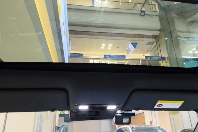 Used Li Auto L9 2024 Ultra Model Headliner