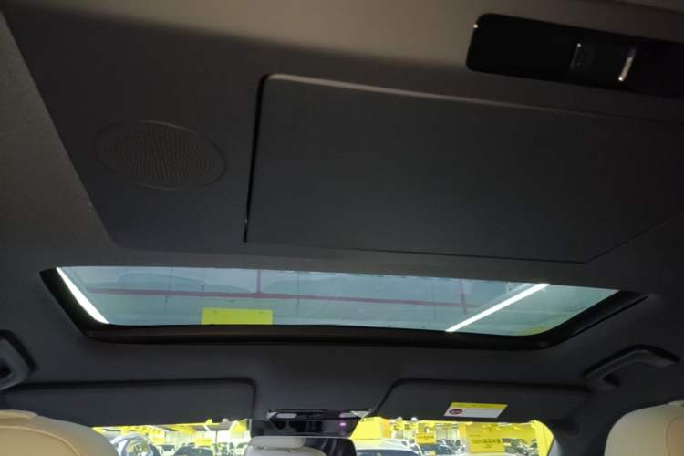 Used Li Auto L9 2024 Ultra Model Headliner