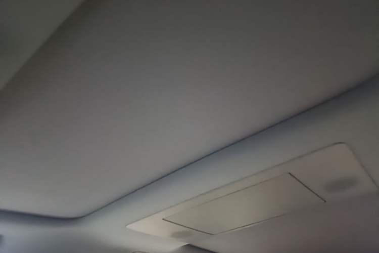 Used Li Auto L9 2024 Ultra Model Headliner