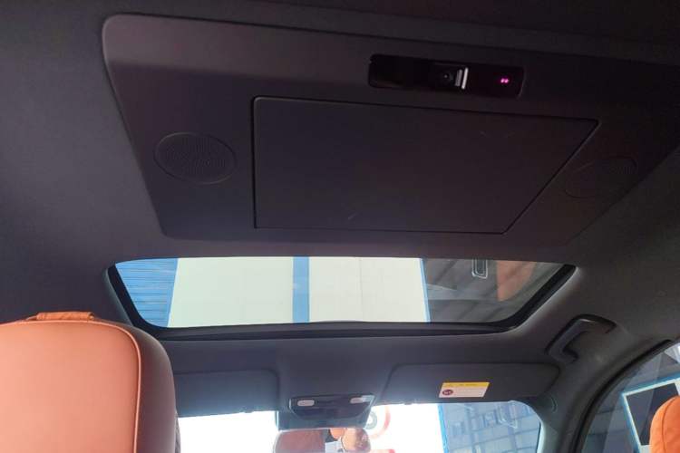 Used Li Auto L9 2024 Ultra Model Headliner