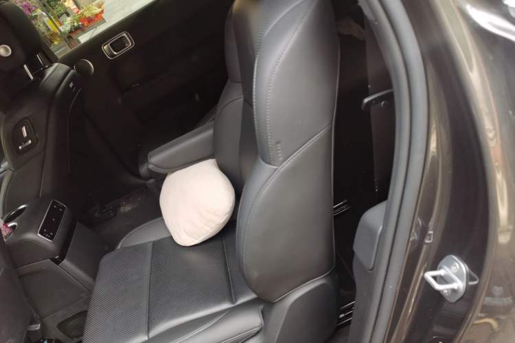 Used Li Auto L9 2024 Pro Model Left Rear Seat