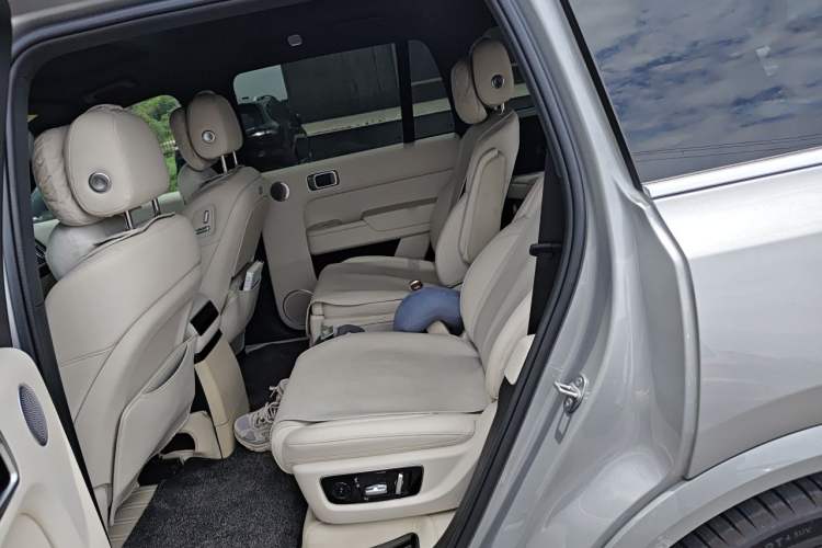 Used Li Auto L9 2024 Ultra Model Left Rear Seat