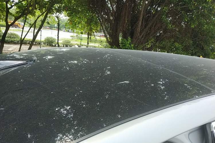 Used Li Auto L9 2024 Ultra Model Roof