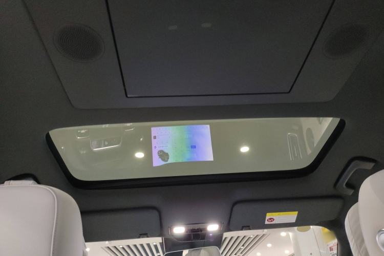Used Li Auto L9 2024 Pro Model Headliner