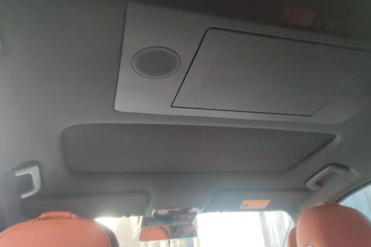 Used Li Auto L9 2024 Ultra Model Headliner