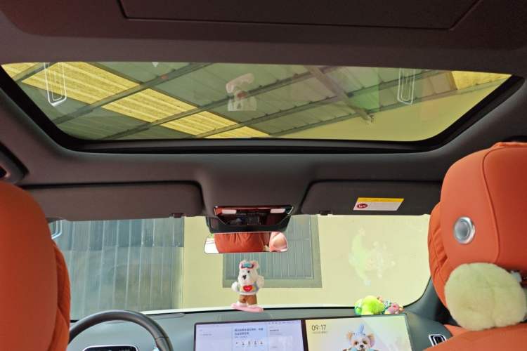 Used Li Auto L9 2024 Ultra Model Headliner