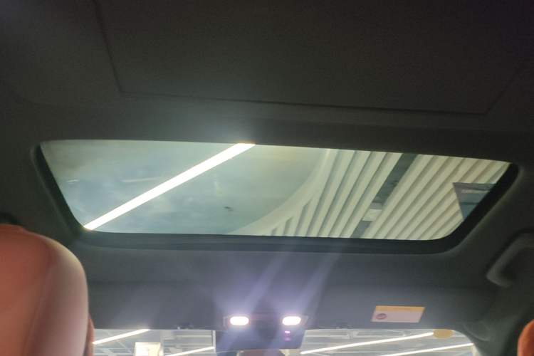 Used Li Auto L9 2024 Ultra Model Headliner