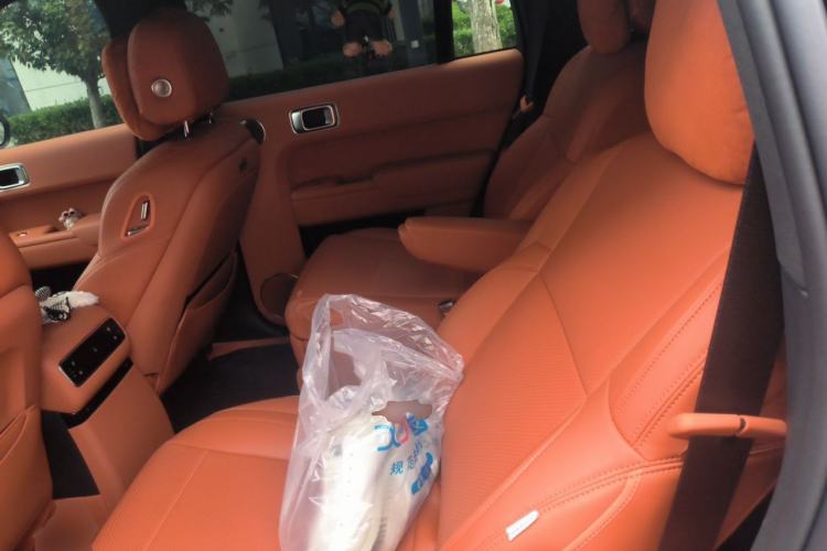 Used Li Auto L9 2024 Ultra Model Left Rear Seat