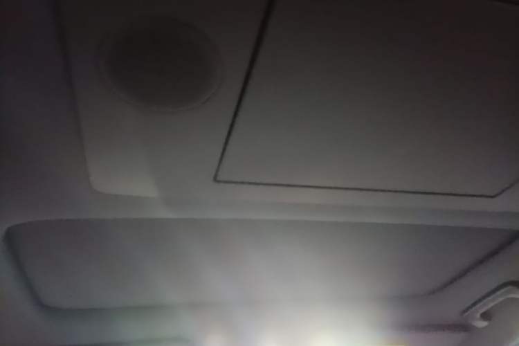 Used Li Auto L9 2024 Ultra Model Headliner