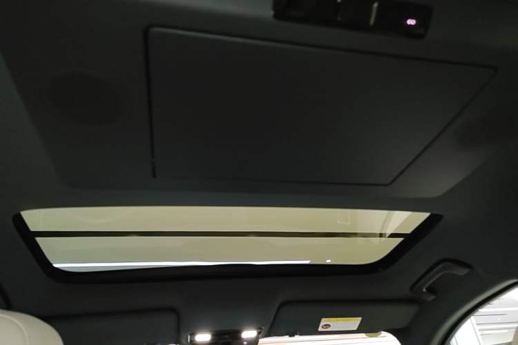 Used Li Auto L9 2024 Ultra Model Headliner