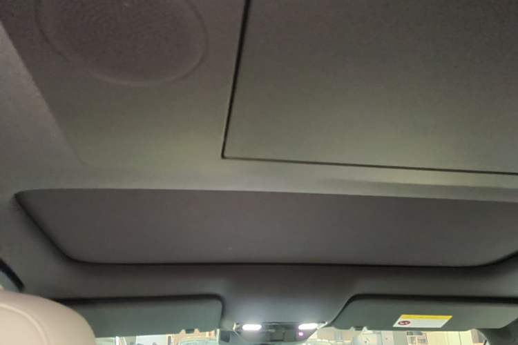 Used Li Auto L9 2024 Ultra Model Headliner