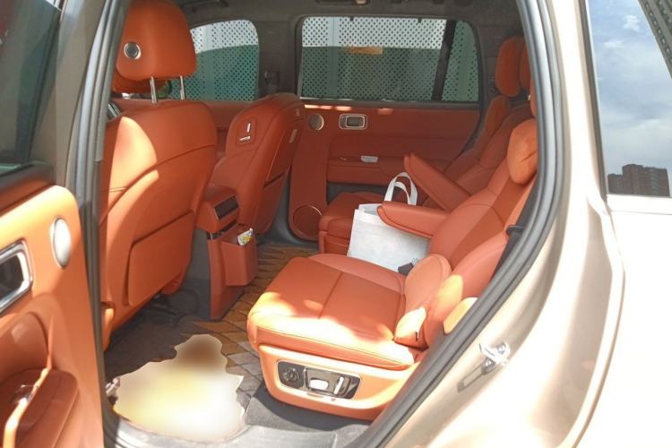 Used Li Auto L9 2024 Pro Model Left Rear Seat