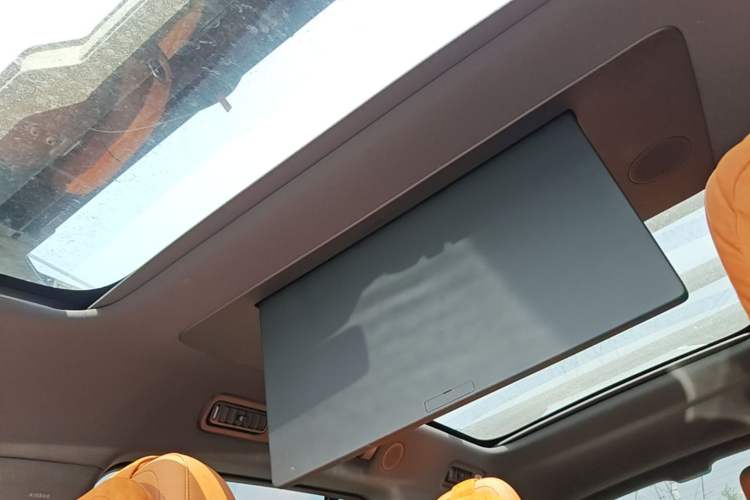 Used Li Auto L9 2025 Ultra Smart Refreshed Edition Headliner