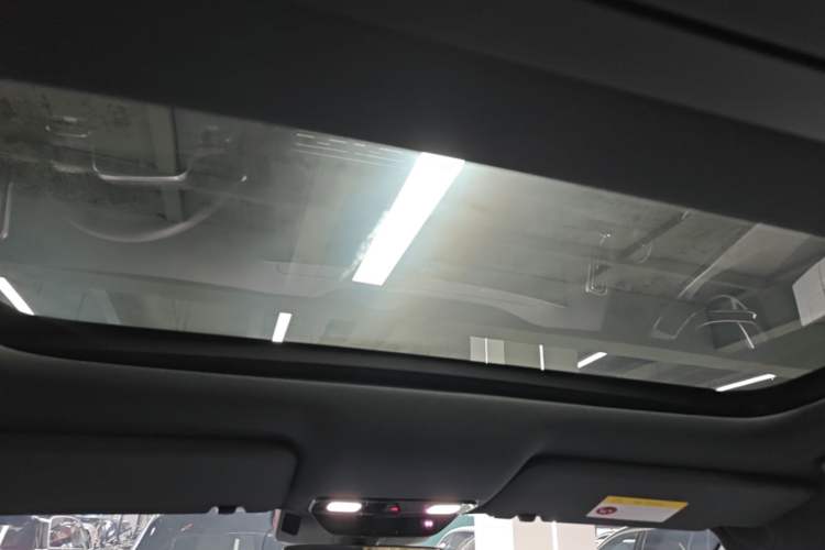 Used Li Auto L9 2025 Ultra Smart Refreshed Edition Headliner