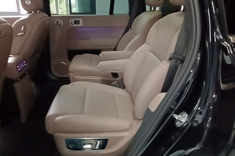 Used Li Auto L9 2025 Ultra Smart Refreshed Edition Left Rear Seat