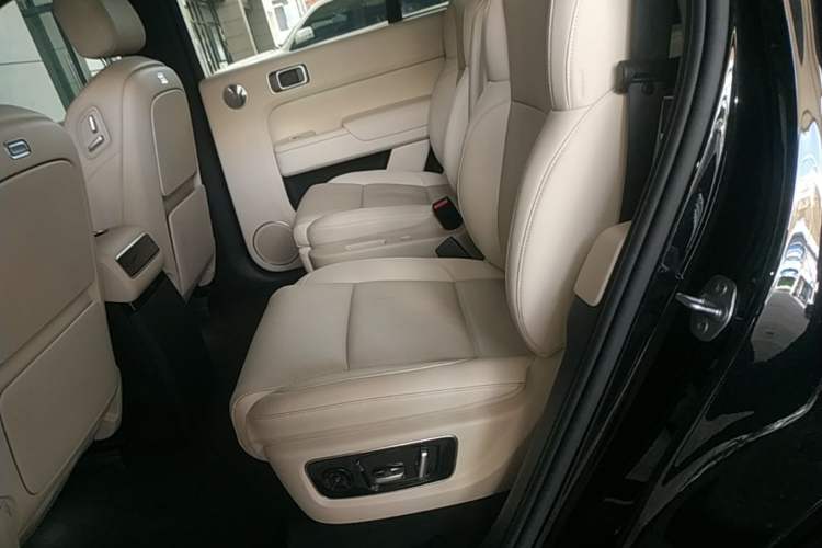Used Li Auto L9 2025 Ultra Smart Refreshed Edition Left Rear Seat