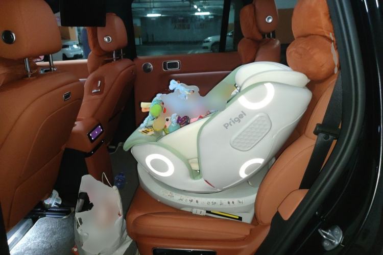 Used Li Auto L9 2025 Ultra Smart Refreshed Edition Left Rear Seat
