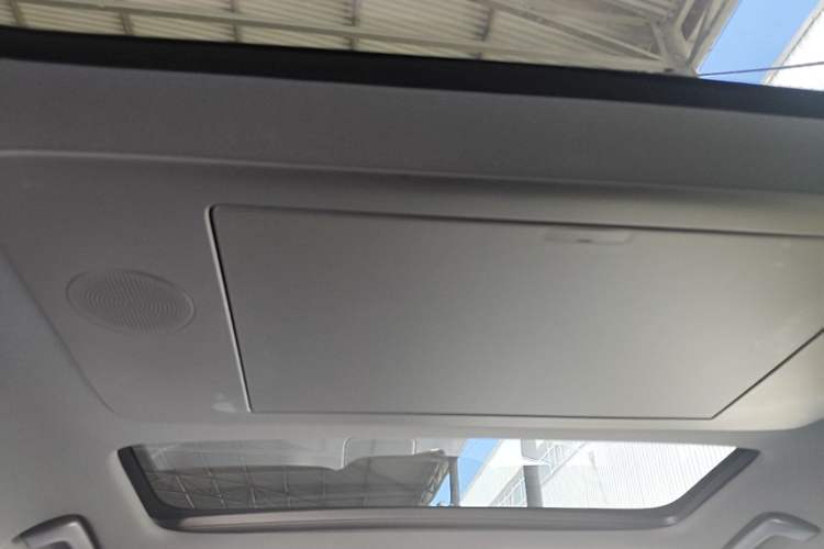 Used Li Auto L9 2025 Pro Smart Refreshed Edition Headliner