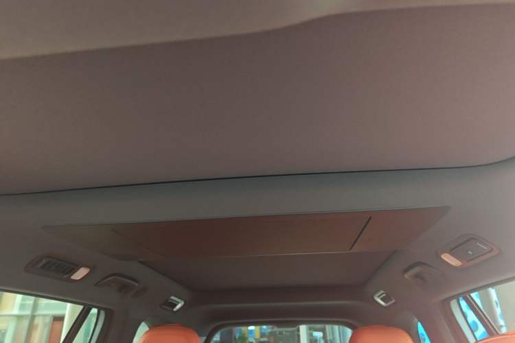 Used Li Auto L9 2025 Ultra Smart Refreshed Edition Headliner
