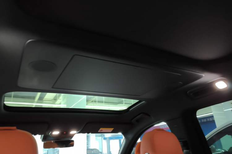 Used Li Auto L9 2025 Pro Smart Refreshed Edition Headliner