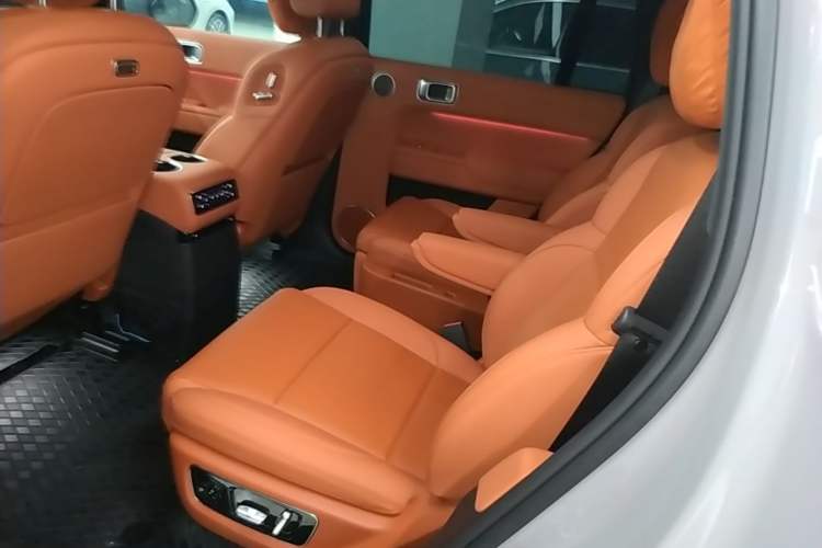 Used Li Auto L9 2025 Ultra Smart Refreshed Edition Left Rear Seat
