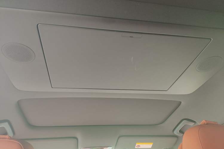 Used Li Auto L9 2025 Ultra Smart Refreshed Edition Headliner