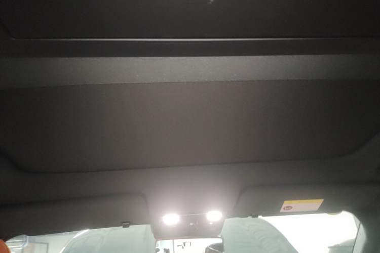 Used Li Auto L9 2025 Ultra Smart Refreshed Edition Headliner