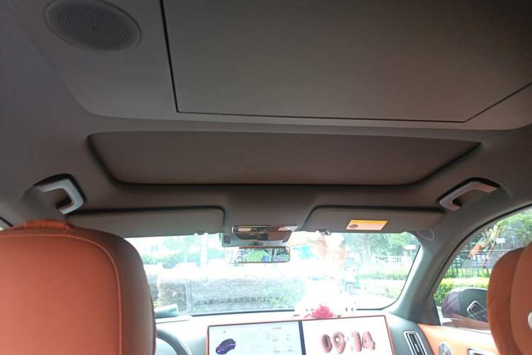 Used Li Auto L9 2025 Ultra Smart Refreshed Edition Headliner