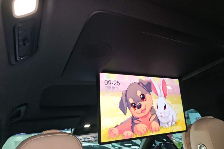 Used Li Auto L9 2025 Ultra Smart Refreshed Edition Headliner
