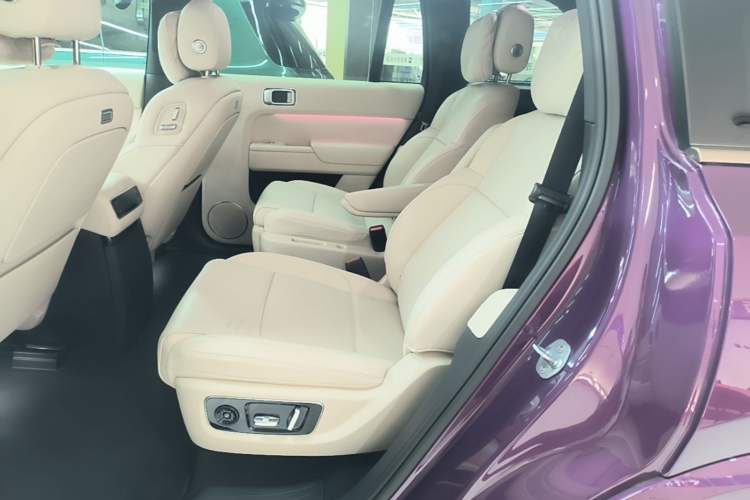 Used Li Auto L9 2025 Ultra Smart Refreshed Edition Left Rear Seat