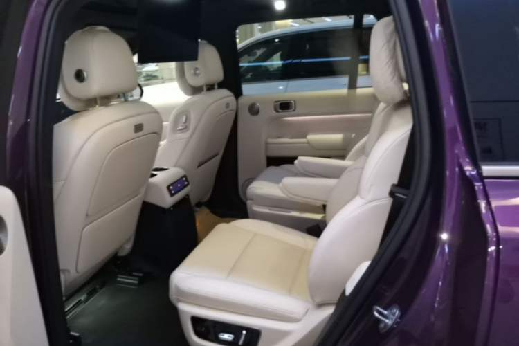 Used Li Auto L9 2025 Ultra Smart Refreshed Edition Left Rear Seat