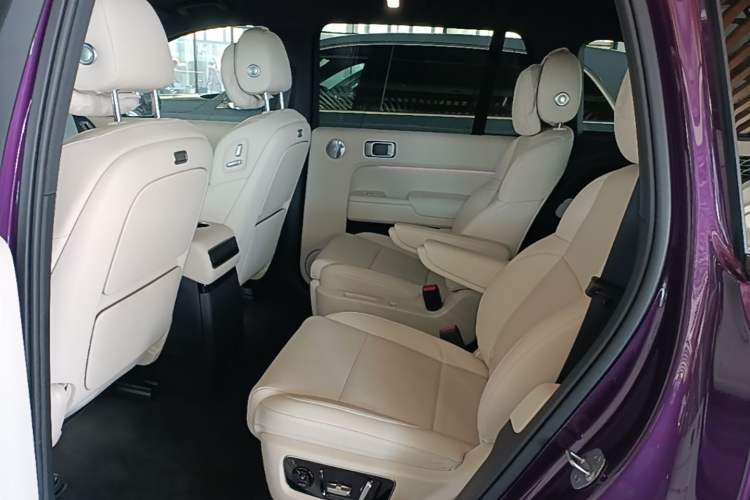 Used Li Auto L9 2025 Ultra Smart Refreshed Edition Left Rear Seat
