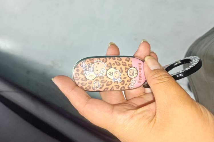 Used Li Auto L9 2025 Ultra Smart Refreshed Edition Vehicle Key