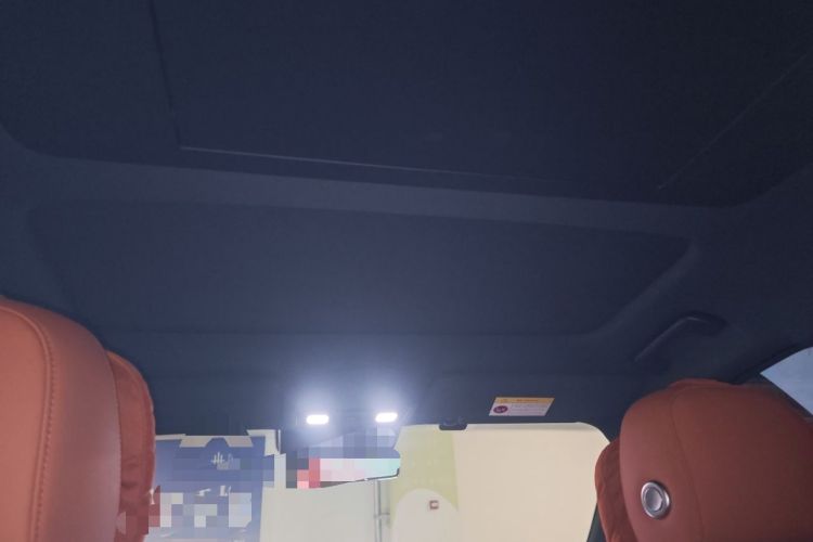 Used Li Auto L9 2025 Pro Smart Refreshed Edition Headliner