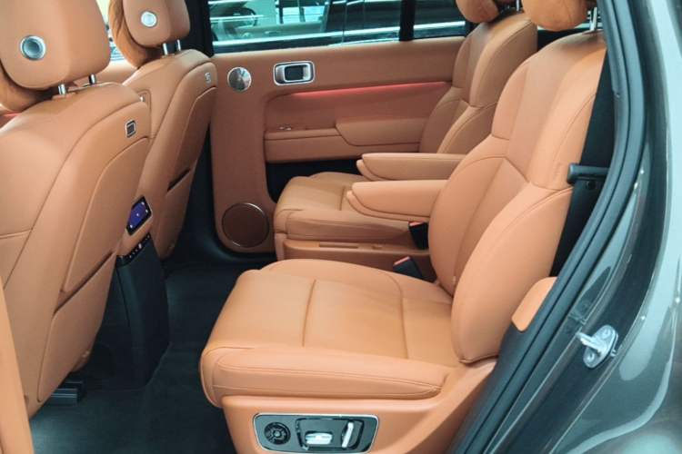 Used Li Auto L9 2025 Ultra Smart Refreshed Edition Left Rear Seat
