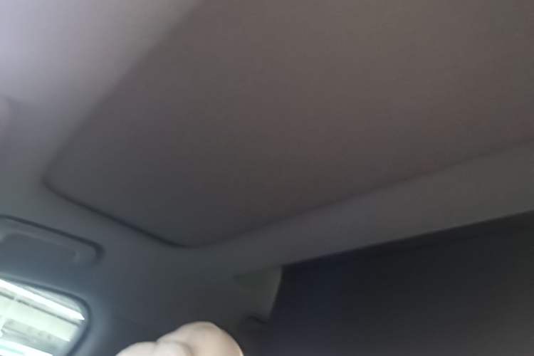 Used Li Auto L9 2025 Ultra Smart Refreshed Edition Headliner