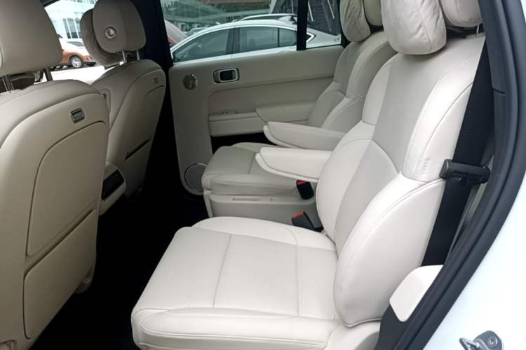 Used Li Auto L9 2025 Ultra Smart Refreshed Edition Left Rear Seat