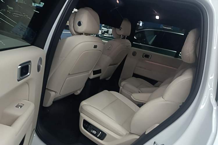 Used Li Auto L9 2025 Ultra Smart Refreshed Edition Left Rear Seat