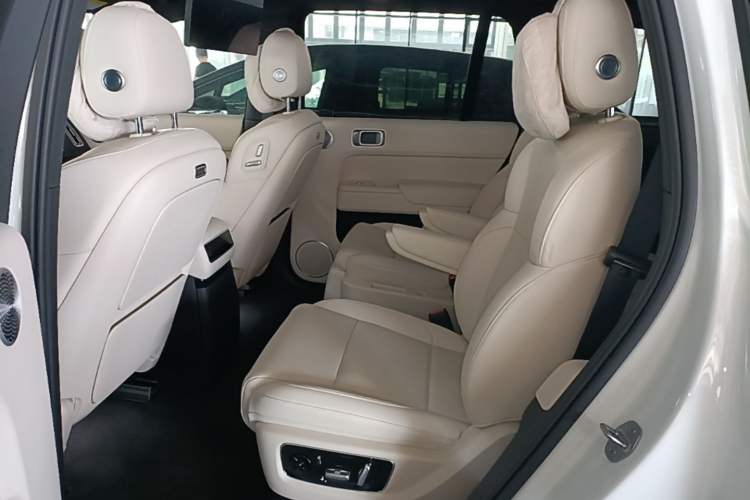Used Li Auto L9 2025 Ultra Smart Refreshed Edition Left Rear Seat