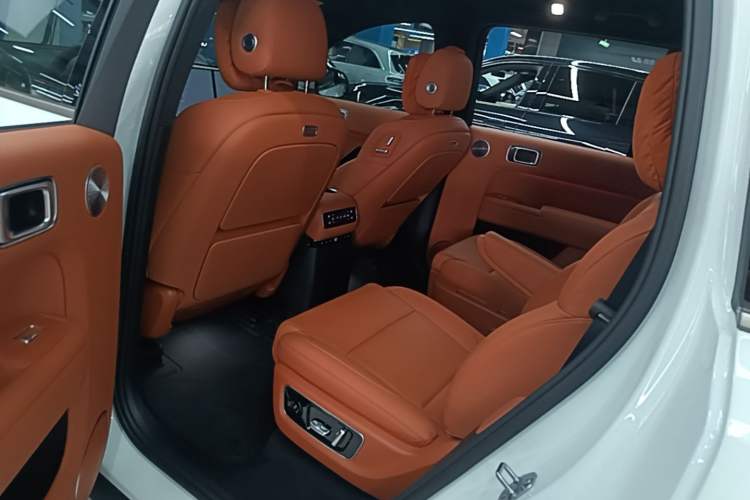 Used Li Auto L9 2025 Pro Smart Refreshed Edition Left Rear Seat