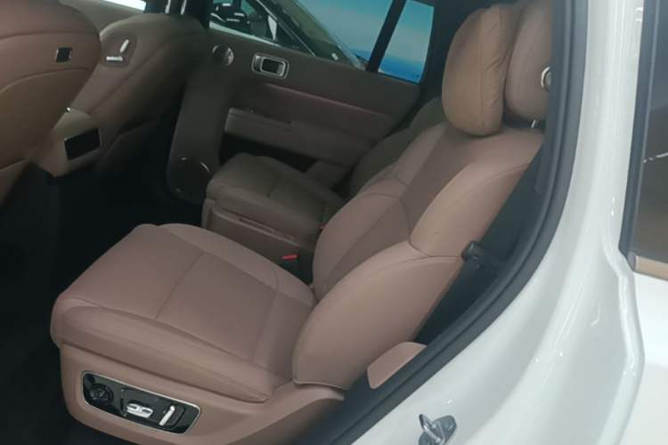 Used Li Auto L9 2025 Ultra Smart Refreshed Edition Left Rear Seat