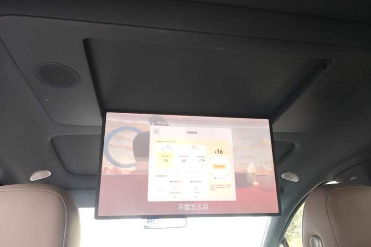 Used Li Auto i6 2025 Model Two-Wheel-Drive Standard Type Headliner