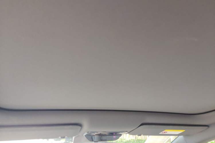 Used Li Auto i6 2025 Model Two-Wheel-Drive Standard Type Headliner
