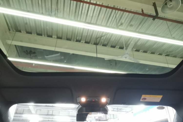 Used Li Auto i6 2025 Model Two-Wheel-Drive Standard Type Headliner