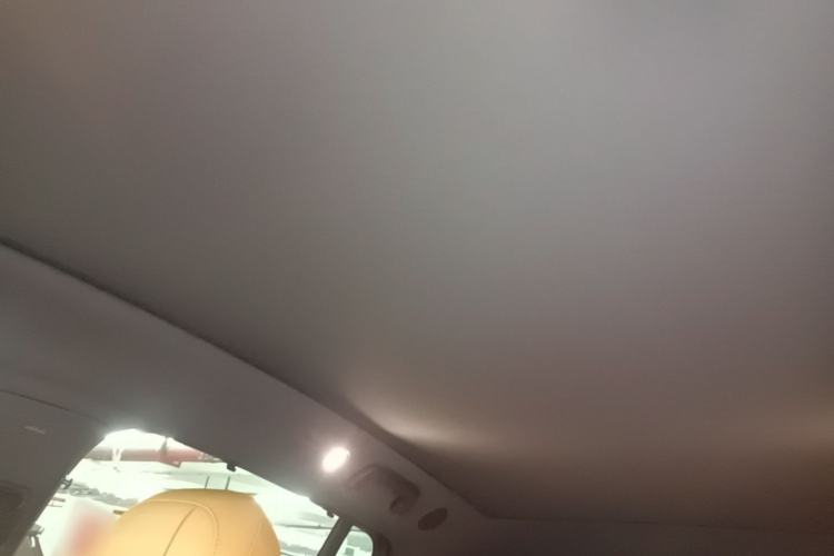 Used Li Auto i6 2025 Model Two-Wheel-Drive Standard Type Headliner