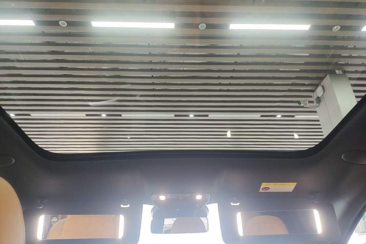 Used Li Auto i6 2025 Model Two-Wheel-Drive Standard Type Headliner