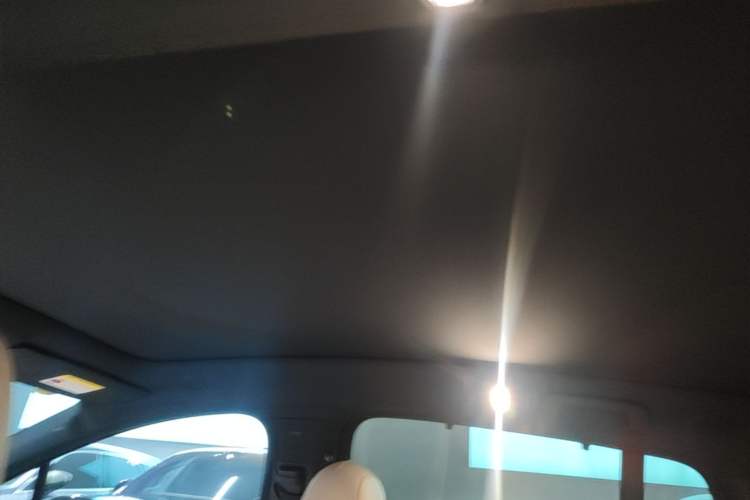 Used Li Auto i6 2025 Model Two-Wheel-Drive Standard Type Headliner