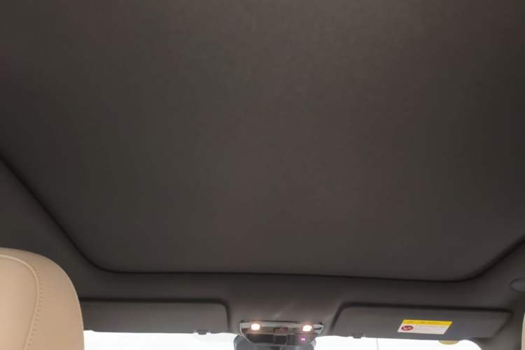 Used Li Auto i6 2025 Model Two-Wheel-Drive Standard Type Headliner